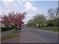 A82, Great Western Road