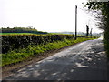 The Burn Road near Comber