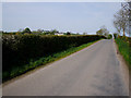 The Burn Road near Comber