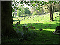 Ipswich Old Cemetery