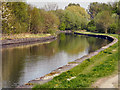 Leeds & Liverpool Canal, Leigh Branch