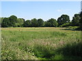 Former sports ground west of Kings Hall Road, BR3