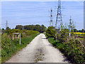 Path on Carrington Moss