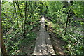 Moseley Bog Nature Reserve