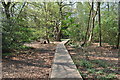 Moseley Bog Nature Reserve