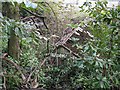 Ruined Glasshouse at Ruperra Castle