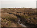 Challochglass Moor