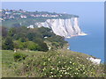 Downland Meets the Sea