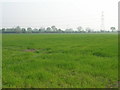 Farmland, Newton Carr