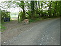 Mounting block on Bowcroft Lane, Rudgwick