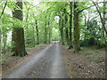 Bowcroft Lane SW to the Downs Link path