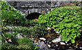 The Killyglen Burn, Drain