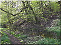 Abandoned Railway Embankment Clifton Junction to Accrington (L&Y Railway)