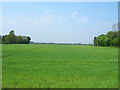 Farmland near Stockton on the Forest