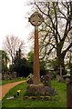 The cross in St Laurence churchyard