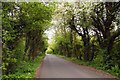 Road to Berrick Prior on Primrose Hill