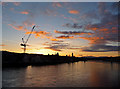 Crane by the River Ness