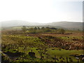 View from bridge over Afon Clywedog towards Waun-Oer