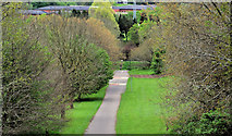 J3269 : Path, Clement Wilson Park, Belfast (2) by Albert Bridge