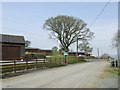 Holiday cottages near Trewythen