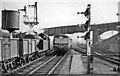 Diesel multiple-unit on Down service entering Hertford North Station, passing an Up empties