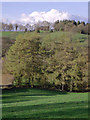 Pasture and woodland west of Builth Wells, Powys