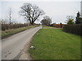 Country  Lane  toward  Wheldrake