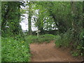 Path/track junction on the edge of Dunster Park