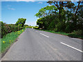 The Carrowdore Road near Greyabbey