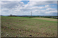 Fields, Ballyboghilbo