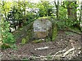 Larbert Estate, ice house