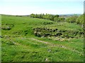 Track on Denholme Edge