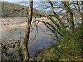 Erme estuary