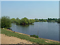 Pond in Mayesbrook Park