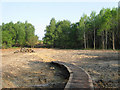 Boardwalk, Memorial Common