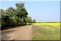 Farm Track off the A414