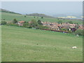 Sheep at Landport Bottom near Lewes