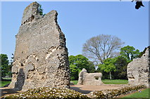 TL7789 : Weeting Castle by Ashley Dace