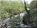 Afon Trannon looking downstream