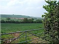 Field near Waterlake, looking towards Ruxford Barton