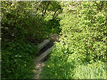 SY5287 : Small Footbridge near West Bexington Nature Reserve by Ivan Hall