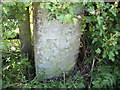 Cut Mark: New Pale Road Gatepost, Manley