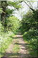 Footpath Beside Edgwarebury Cemetery