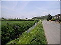 Rhyne alongside Bleadon Rd, Bleadon