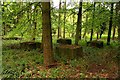 Concrete blocks in the woods