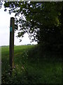 Footpath to Framlingham College