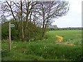 Footpath to Great Lodge Entrance