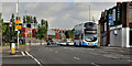 Bus/trolleybus comparison, Belfast