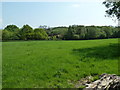 View across field to house on Mallion