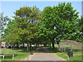 Trees lined path along Park Road